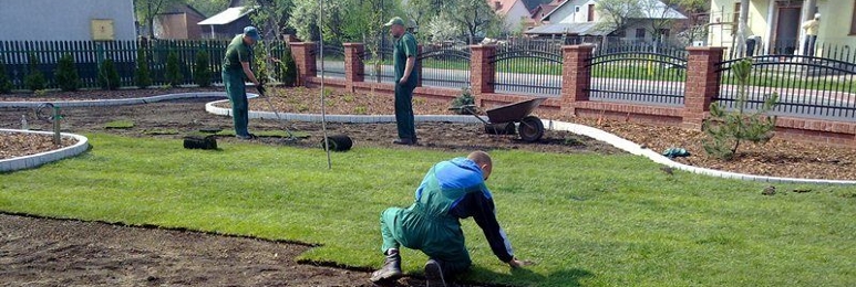 Zagospodarowanie terenów zielonych